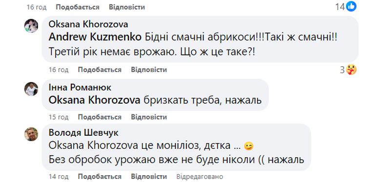 Врожаю абрикос знову не буде: синоптики засмутили прогнозом погоди на четвер