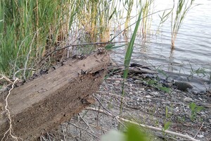 В Одесской области обнаружили фрагменты древнего судна