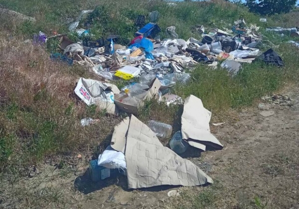 В Одесской области обнаружили незаконную свалку в карьере