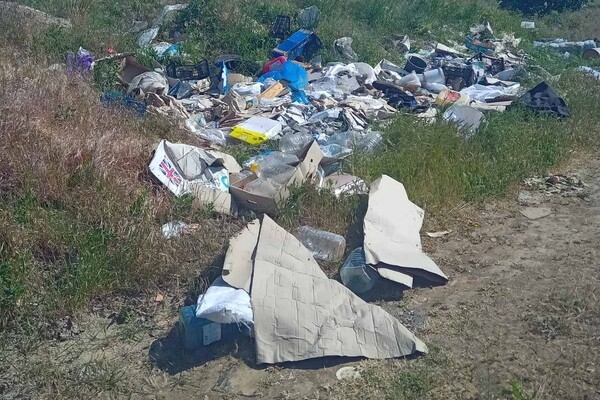 В Одесской области обнаружили незаконную свалку в карьере
