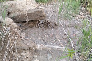 В Одесской области обнаружили фрагменты древнего судна