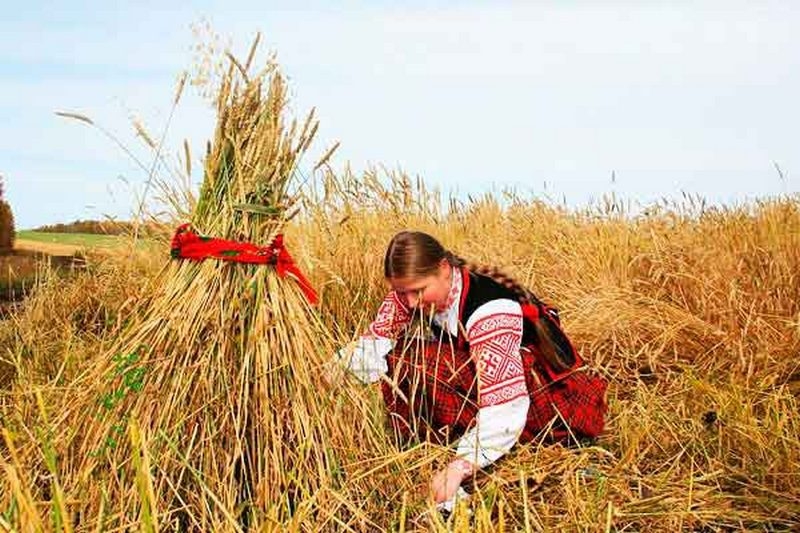 Борщ із півня, солодкі мандрики та освячення хліба: як відзначають свято Петра й Павла та що суворо забороняється робити цього дня