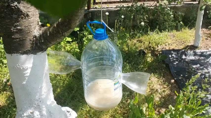 Як позбавитися від комарів за допомогою пластикової пляшки (фото)