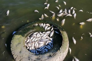 В Одессе и пригороде с утра чувствовался неприятный запах: причина