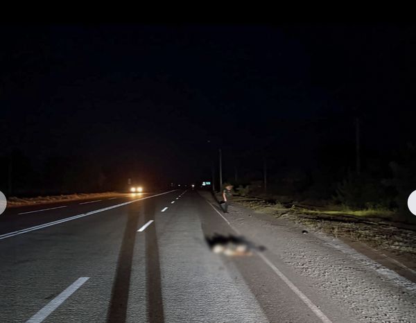 Збив військовослужбовця й залишив помирати на узбіччі: поліцейські Запоріжжя розшукують водія-втікача