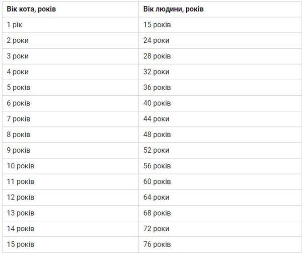 Більше 10 років? Пора на «пенсію»: як співвідноситься вік котів і людей