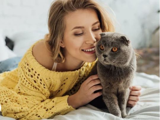 Більше 10 років? Пора на «пенсію»: як співвідноситься вік котів і людей
