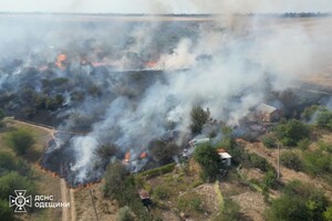 В Одесской области вспыхнул масштабный пожар: горели 15 дачных домов, пострадала женщина