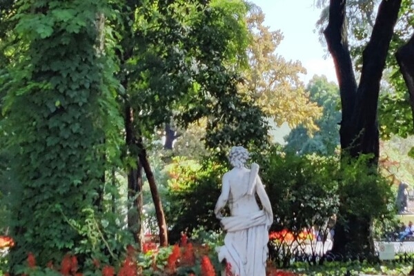 Щучья икра и форшмак: где в Одессе попробовать блюда местной кухни (часть 1)