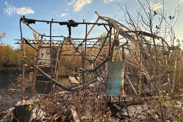 В Одесской области вспыхнул масштабный пожар: горели 15 дачных домов, пострадала женщина