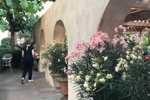 Щучья икра и форшмак: где в Одессе попробовать блюда местной кухни (часть 1)