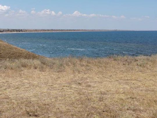 «Ні води, ні газу, ні доріг»: в окупованому Криму «ветеранам» роздають непридатні для життя земельні ділянки