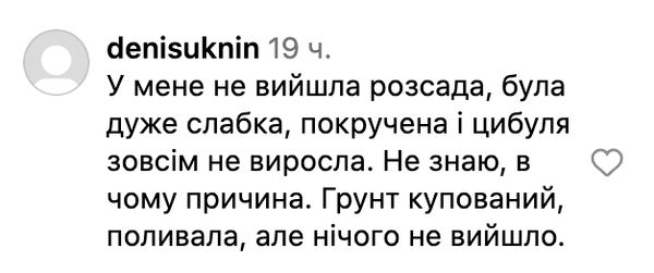 Посіяли у квітні, а зараз збираємо врожай: аграрій з Київщини Валерій назвав сорти цибулі, які дали чудовий результат