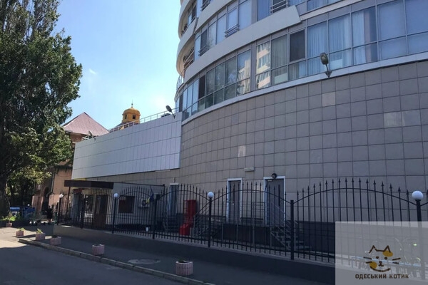 Новые названия: кто такой Владимир Рутковский и почему в честь него переименовали улицу Веры Инбер в Одессе