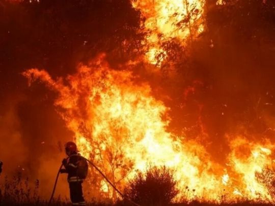 Україна запропонувала Португалії допомогу: про що йдеться