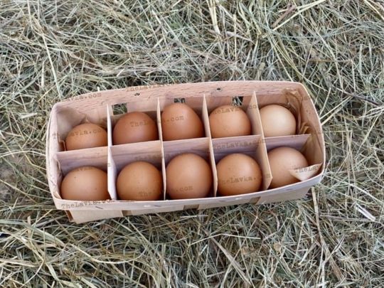 Чи можна їсти яйця щодня: експерти розвіяли сумніви
