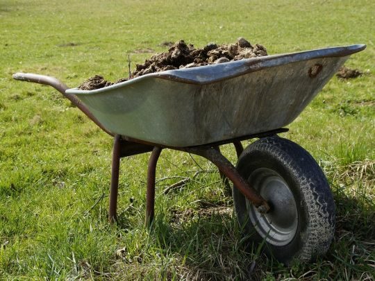 Тільки нашкодите: чим восени не&nbsp;потрібно удобрювати землю на&nbsp;ділянці