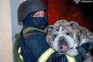 Погибший, возгорание газовых труб и пврежденная школа: последствия ночной атаки дронов в Одессе (фото, видео)
