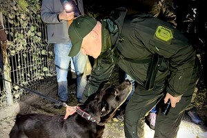 70 обращений в полицию, десять пострадавших: последствия вечерней атаки на Одессу