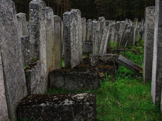 Поліція встановлює учасників «напівголої» фотосесії на єврейському цвинтарі на Львівщині (фото)