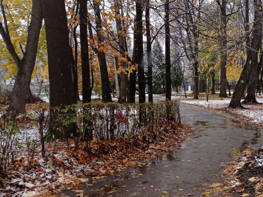 Пуховик можна відкласти: якої погоди чекати до кінця тижня