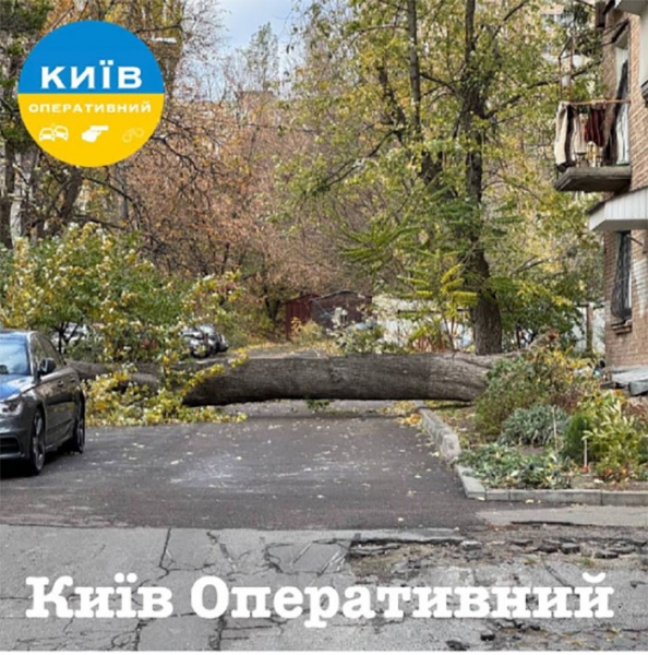 Зривало дахи й валило дерева: в Києві вирувала негода