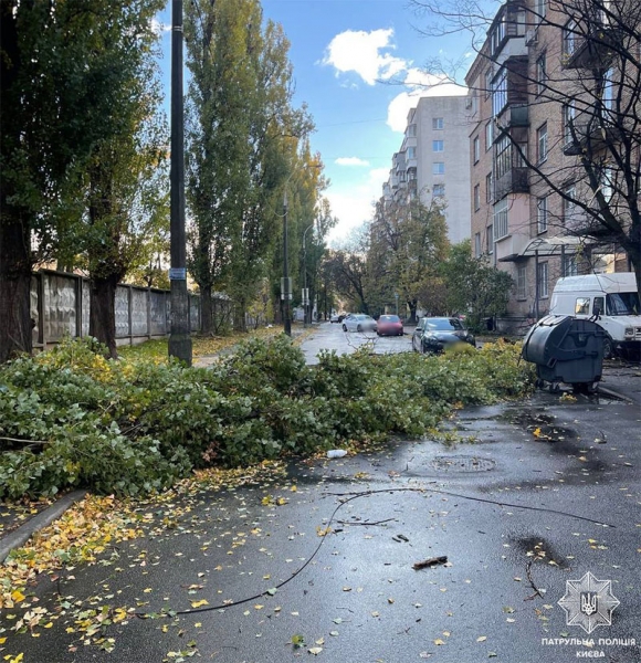 Зривало дахи й валило дерева: в Києві вирувала негода