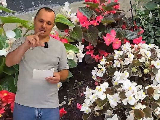 Новий сезон розпочинається: аграрій з-під Києва Валерій розповів, які рослини варто посіяти на розсаду в лютому