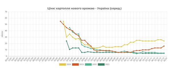 У Україні несподівано знизились ціни на популярний овоч, але є важливий нюанс