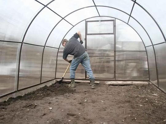 Виросте все: відома городниця назвала кращі дати для посіву на розсаду за місячним календарем у лютому та березні 2025 року