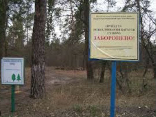 Рада ухвалила нову заборону для водіїв: за що тепер можна отримати до 10 тисяч грн штрафу