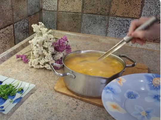 Смачний суп від «свекрухи Alina FooDee»: добавки попросять і дорослі, і малі