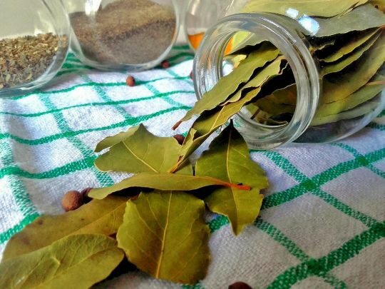 Для чого кидати в&nbsp;унітаз лавровий лист: зробіть цей трюк перед виходом з&nbsp;дому