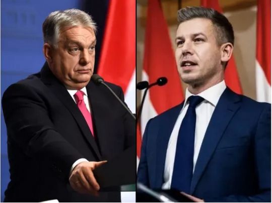 Безпрецедентна відповідальність: в&nbsp;Угорщині завершили підрахунок голосів