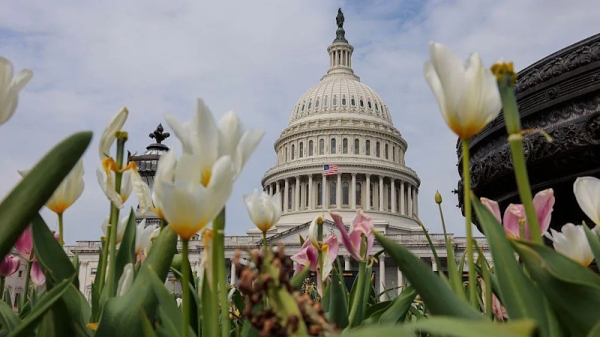 Сенат США отклонил резолюцию об ограничении военных полномочий Трампа в Иране